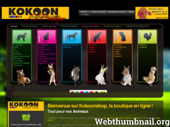 kokoonshop.com website preview