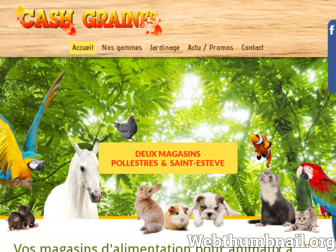 cash-graines.com website preview