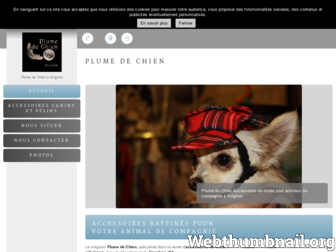 accessoires-chiens-avignon.fr website preview