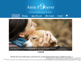 amisforever.com website preview