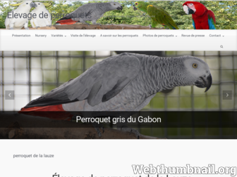 perroquet-elevage.com website preview