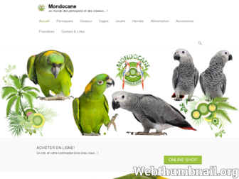 mondocane.be website preview