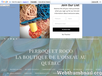 perroquetroco.com website preview