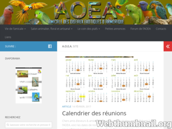 aoea.fr website preview