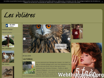 lesvolieres.canalblog.com website preview