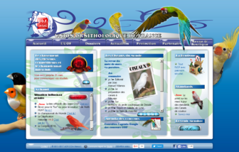ornithologies.fr website preview