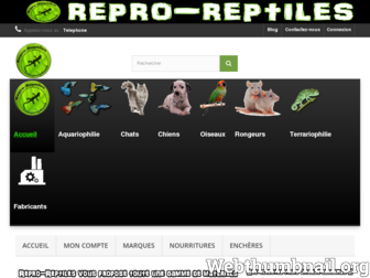 boutique-repro-reptiles.com website preview