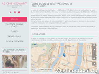 toilettage-chien-galant-lyon.fr website preview