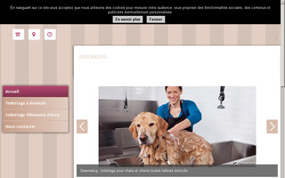 gwenadog-toilettage-nord.fr website preview