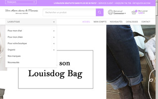 unchiendanslemarais.com website preview