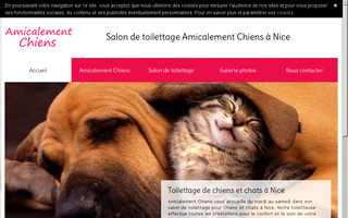 toilettage-chiens-nice.fr website preview