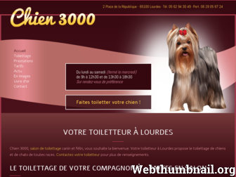 chien3000.fr website preview