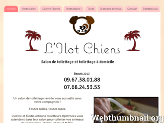 lilotchien-toilettagetoulouse.com website preview