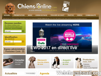 chiens-online.com website preview