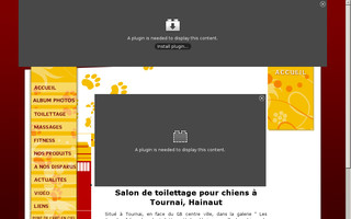 toilettage-academie.net website preview