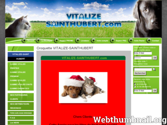 vitalize-sainthubert.com website preview