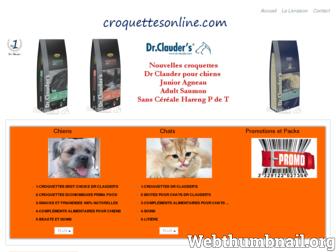 croquettesonline.com website preview