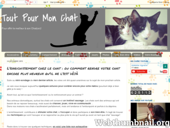 tout-pour-mon-chat.blogspot.com website preview