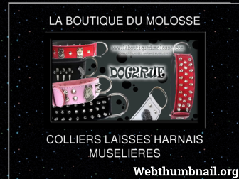 laboutiquedumolosse.com website preview