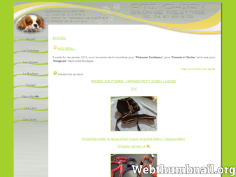 ami-chien-montpellier.com website preview