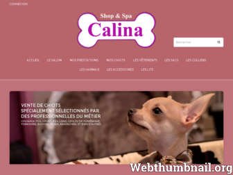 calina-paris.com website preview