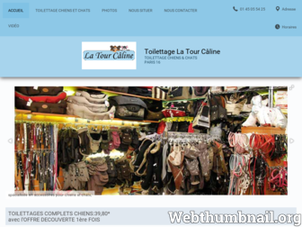 latourcaline-toilettage-paris.fr website preview