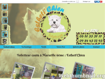 toilettage-chien-marseille.fr website preview