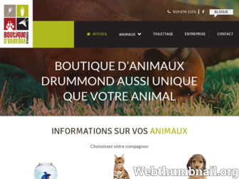 boutiquedanimauxdrummond.com website preview