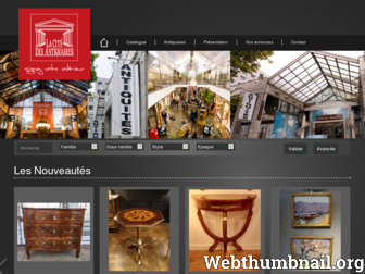 cite-antiquaires.fr website preview