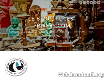 blog.puces-privees.com website preview