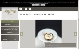 antiquites-sprugnoli-mariechristine.com website preview