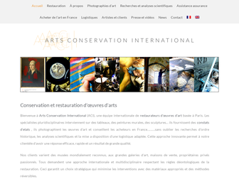 artsconservationinternational.com website preview