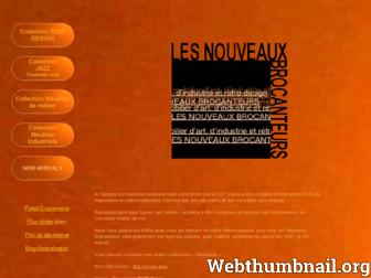 lesnouveauxbrocanteurs.com website preview