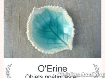 oerine.com website preview