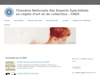 experts-cnes.fr website preview