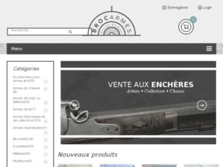 brocarmes.fr website preview