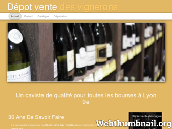 depot-vente-des-vignerons.fr website preview