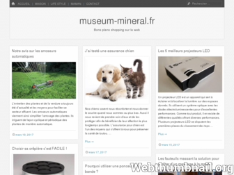 museum-mineral.fr website preview