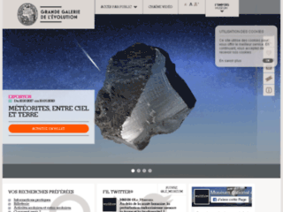 grandegaleriedelevolution.fr website preview