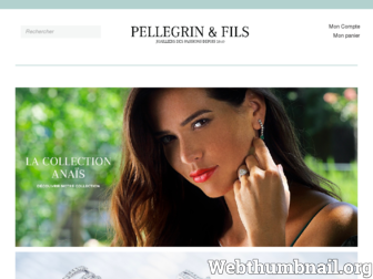 pellegrin-et-fils.com website preview