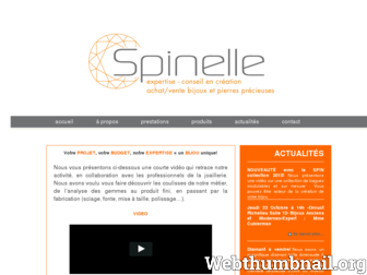 spinelle.biz website preview