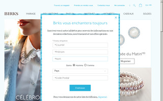 maisonbirks.com website preview