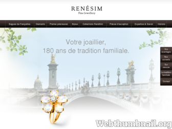renesim.fr website preview