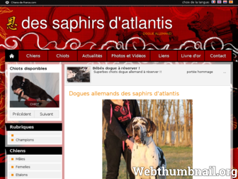 lessaphirsdatlantis.chiens-de-france.com website preview