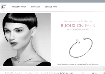 bijouxcn.com website preview