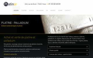 platinor.fr website preview