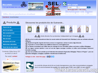 boutique.selguerande.com website preview