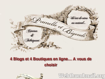 prunelle-et-bigoudi.fr website preview