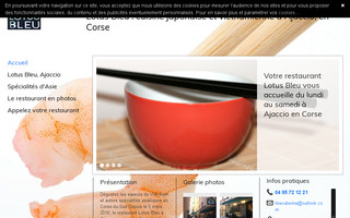 restaurant-asiatique-ajaccio.fr website preview