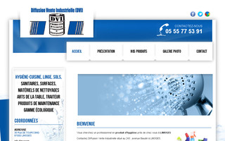 dvi-limoges.fr website preview
